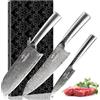 NANFANG BROTHERS Set Coltelli Da Cucina Professionali - 3 Pezzi Acciaio Inossidabile Nero Coltello Da Cucina con Ceppo Coltelli - Professional Kitchen Knife Set with Block Kitchen Knives Chef Knife