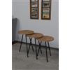 ETNIC ART Set 3 Tavolini da Salotto con altezze diverse - Set Tavolini tondi in legno e metallo da salotto rotondi (TONDI - LEGNO E METALLO, ROVERE)