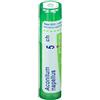 BOIRON Srl Aconitum nap boi*6ch gr 4g - BOIRON - 050833058