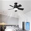 AHRHSM Ventilatore da Soffitto con Luce e Telecomando Silenzioso, Ventilatori da Soffitto 45 cm con Lampada a LED, Lampadario Ventilatore con Silenziosoper, per Camera da Letto, Cucina (nero)
