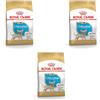 Royal Canin Chihuahua Puppy | Confezione Tripla | 3 x 500 g | Alimento completo specifico per cuccioli di Chihuahua | Fino a 8 mesi | Può aiutare a ridurre l'odore delle feci