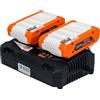 RURIS POWER FOR NATURE RURIS - Kit 2 accumulatori + caricatore doppio Alfa Up 4444E - Batterie potenti da 20V e 4Ah con caricatore rapido