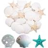 Fzyisw 30 conchiglie naturali e stelle marine decorative, 6-8 cm, bianco naturale, decorazione per feste in spiaggia, artigianato per bambini (20 conchiglie/10 stelle marine)