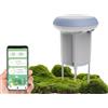 RISOON Sensore intelligente di umidità e temperatura del suolo WiFi/Bluetooth, impermeabile IP65, monitor per piante da interno/esterno, compatibile con l'app Alexa, Tuya, igrometro da giardino e