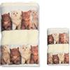 Corredocasa, 2 Set Asciugamani Bagno in Spugna - Made in Italy, 100% Puro Cotone - Asciugamano Bagno, Viso 60x110cm e Ospite 40x60cm - Asciugamani Casa Morbidi e Assorbenti (Gatti)
