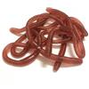 GWAWG - 10 pezzi di lombrichi realistici elastici, accessori spaventosi, lombrichi finti, lombrichi giocattolo elastici per bambini, scherzo giocattolo adatto per la decorazione di aprile e Halloween