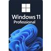 Microsoft Windows 11 Professional