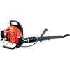 Bricoferr Soffiante Zaino Benzina 51,7cc