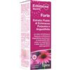 OPTIMA NATURALS SRL Optima Echinacea Forte - Integratore per Difese Immunitarie - Fluido 50 ml