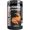ANDERSON Molotov Tropical 600 g - Pre-Workout ad Azione Esplosiva
