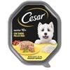 Cesar Senior 10+ con Delizioso Pollo e Riso in una Delicata Gelatina 150 g