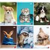 BM ARTI GRAFICHE MAXI QUADERNO CUTE BM RIGATURA 1R 42 FF 80 GR CONF. 10 PZ 0110389