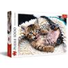 Trefl 1000 Elementi, Vista di Un Gatto Letto, Gattino Carino, Te, intrattenimento Creativo, Regalo, Divertimento, Classici Puzzle Micino Felice, Colore, TRF10448 (10448)