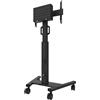 Neomounts Supporto TV Neomounts FL50S-825BL1 37" 70 Kg