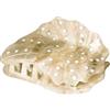 Purelei® Seafoam - Fermaglio per capelli a conchiglia, design in madreperla, linee dorate e ispirazione nautilus, beige e verde, acetato, 84,3 x 59 mm, 32,3 g