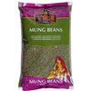 Generic Comprare fagioli Mung TRS | Pacha Payaru | Fagioli verdi integrali di Moong 1Kg