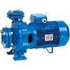 Speroni CSM 32 Monofase - Pompa Monoblocco Centrifuga - CSM 32-200 C - 4,0 kW - 5,5 HP