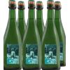 Mas Gomà Wine Box Spumante 'La Planta' Mas Gomà (6bt) 0,75 l