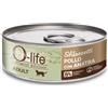 O-life Cat Adult Sfilaccetti 70 gr - Pollo e anatra - Confezione da 6 pezzi - Cibo umido per gatti - 1° ORDINE? scegli lo sconto BZR5 / BZR20 + 200 punti fedeltà