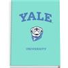 DOHE Yale University Dog - Quaderno a quadretti formato A4, 100 fogli, 90 g/m², spessore carta 22,8 x 30 cm, copertina rigida, rilegatura ad anelli da 5 mm, materiale scolastico