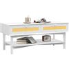 EasyComfort Tavolino da Caffè Boho con 2 Cassetti e Ripiano, in Rattan e Truciolato, 120x50x50 cm, Bianco e color Legno