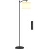 EasyComfort Lampada da Terra LED Dimmerabile con Telecomando, 11 Temperature e 11 Luminosità, Timer 60 Minuti, Nero