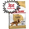 ROYAL CANIN CANE COCKER ADULT 12 KG [PREZZO A CONFEZIONE - acquisto min. 2 confezioni]