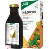 SALUS HAUS Gmbh & Co KG SALUS MAGNESIO 250 ML