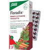 SALUS HAUS Gmbh & Co KG FLORADIX 84 TAVOLETTE