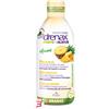 PALADIN PHARMA SPA DRENAX FORTE PLUS ESOTICO CON ESTRATTO D'ANANAS 750 ML