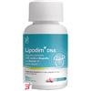 FORZA VITALE ITALIA Srl LIPODIM + DNA 60 COMPRESSE