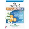 PRODECO PHARMA Srl GSE ENTERO INTOLERANCE 20 STICKPACK