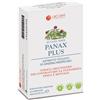 Panax Plus Ginseng Amer 60 Compresse