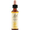 SCHWABE PHARMA ITALIA Srl GORSE BACH ORIG 20ML