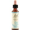 SCHWABE PHARMA ITALIA Srl BEECH BACH ORIG 20ML
