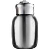 AIGOUT Piccola mini borraccia termica da 280 ml, con isolamento sottovuoto, portatile, a tenuta stagna, in acciaio inox, per bambini, bambini, donne, scuola, ufficio, caffè, latte, tè (argento)