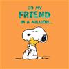 Cards Hallmark Peanuts Snoopy Amico Compleanno Grazie Amicizia al mio amico su un milione...