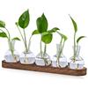 GBKDQQ Terrario per piante, 5 stazioni di propagazione vintage con vassoio in legno marrone, vaso di vetro, piccoli vasi di fiori, per decorazione da tavolo, mini vasi idroponici, decorazione per fiori,