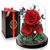 Touloube Regalo Donna di Festa della Mamma I Rosa Eterna Stabilizzata di Lusso con Luce LED I Ideale per Anniversario, Compleanno, San Valentino Per Moglie, Fidanzata, Mamma, Nonna, Madre I Fiore Preservato
