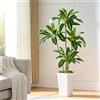 FSOHOI Dracaena Artificiale per Interni 150cm Albero Finto con Fioriera Bianca Alta, Pianta Finta Alta in Vaso, Pianta di Seta Artificiale per la Decorazione Della Casa, Ufficio, Soggiorno, Veranda, Patio