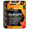 NAMEDSPORT Srl HYDRAFIT 400G 2022