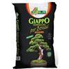 AL.FE Terriccio per Bonsai Akadama AL.FE 2.5Lt