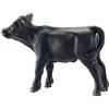 Schleich 2513768 Black Angus Vitello Figurina