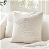 Topfinel Federe Cuscini Divano 45x45 Crema in Velluto Fodera per Cuscino con Cerniera Invisibile Motivo A righe per Soggiorno Camera Balcone Esterno 2 Pezzi