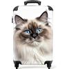 NoBoringSuitcases.com bagaglio a mano, trolley, valigia da 10 kg, rigida, leggera, valigie da viaggio per cabina, aereo, con 4 ruote girevoli, manico estensibile, robusto 55x40x20 cm Ritratto di gatto