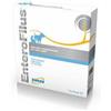 DRN S.R.L. ENTEROFILUS MANGIME SEMPLICE 12 FIALE X 10 ML
