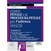 Edizioni Simone Codice penale e di procedura penale per l'udienza. Ediz. minor. Con App Codici Simone per un codice sempre aggiornato