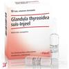 GUNA SPA HEEL GLANDULA THYROIDEA SUIS INJEEL 10 FIALE