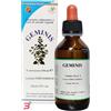 HERBOPLANET Srl GEMINIS GOCCE 100 ML