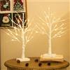 DELICHTER - Set di 2 alberi luminosi con 24 LED bianchi caldi, rami di betulla con funzione timer, decorazione a batteria per casa, feste, Natale, Pasqua, matrimoni, 55 cm